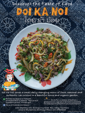 Alison Saracena Design - 2017 Doi Ka Noi full page ad for Lao Airlines magazine