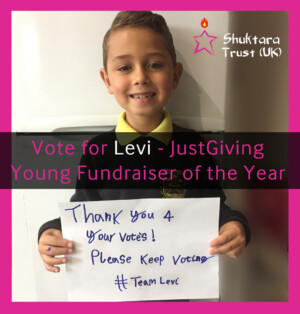 Alison Saracena Design - Vote for Levi social media campaign