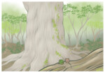 Traveling Frog - Kyuushuu