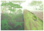 Traveling Frog - Tohoku